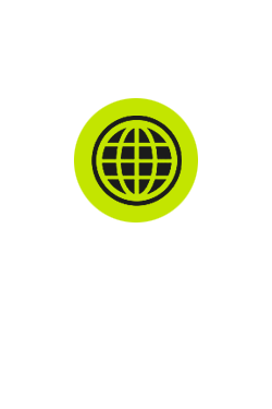 ����(w��)�Ŀ